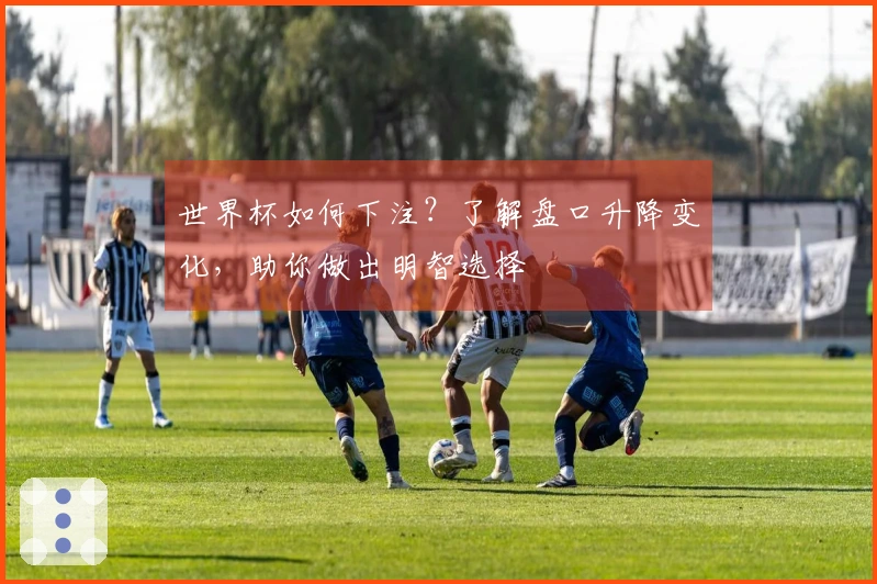 世界杯如何下注？了解盘口升降变化，助你做出明智选择