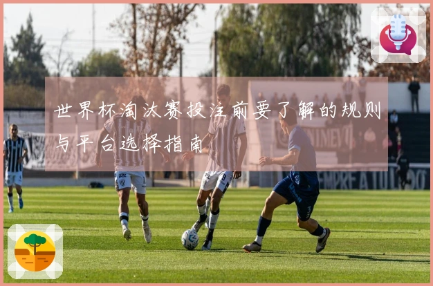世界杯淘汰赛投注前要了解的规则与平台选择指南