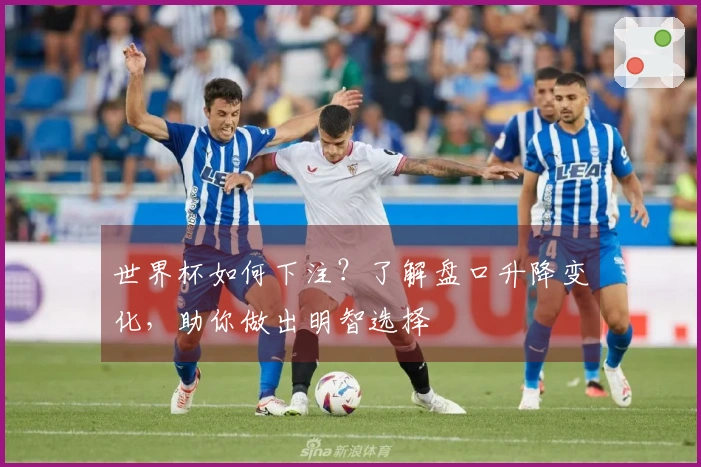 世界杯如何下注？了解盘口升降变化，助你做出明智选择